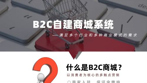 b2c自建商城系统-网站seo优化-百度优化-关键词优化-网站优化-网站建